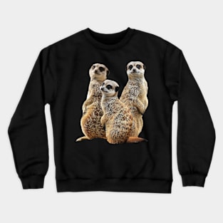 Funny Meerkat - Mongoose in Africa Crewneck Sweatshirt